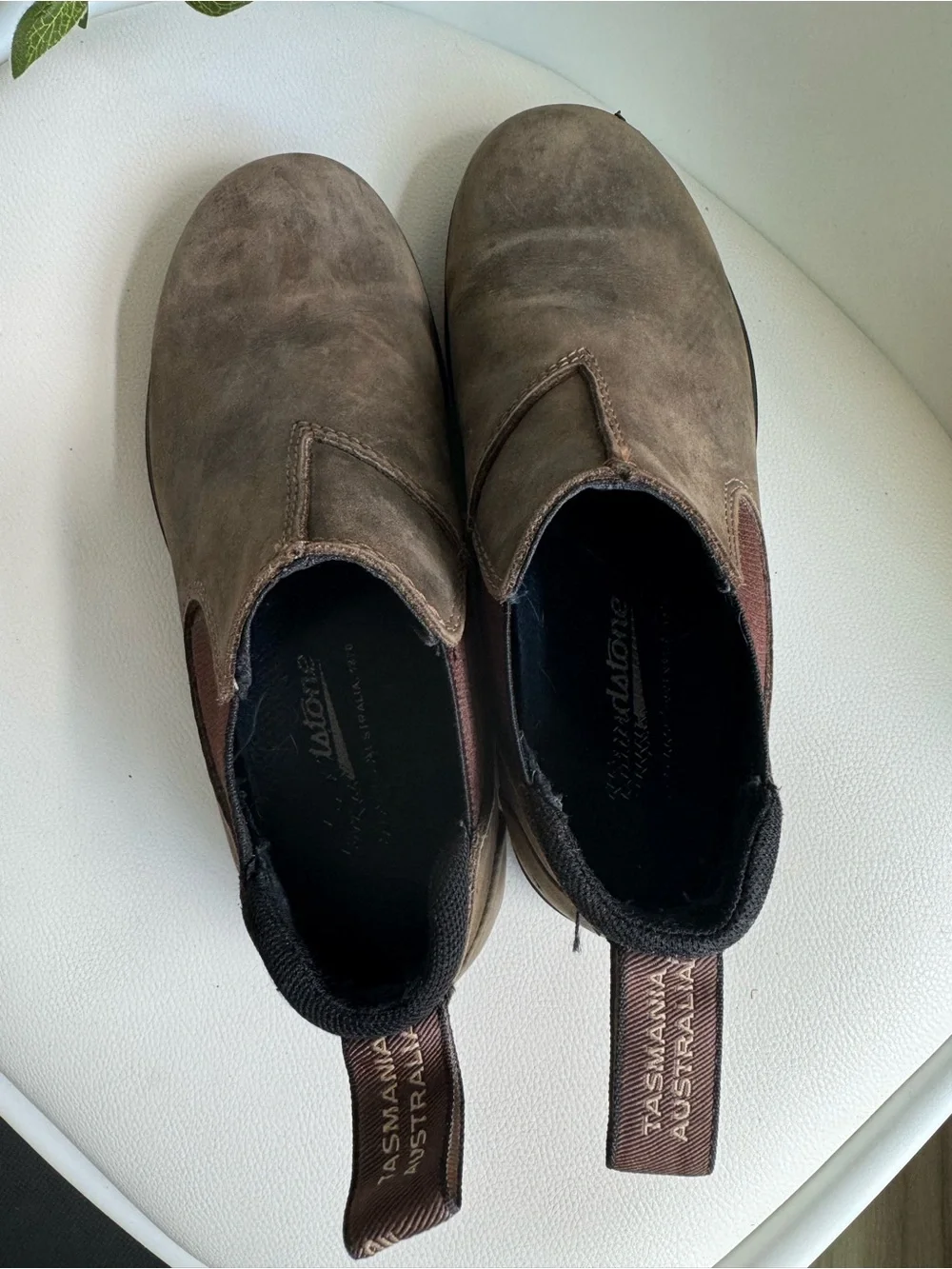 Blundstone slip chukka